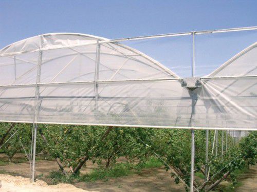 Folie für Gewächshaus - Multisolar 33 - ANIPLAST Srl - Kunststoff / Thermoeffekt
