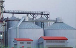 Silo für Getreide - DWS series - DAEWON GSI CO., Ltd - Stahl / rund / mit flachem Boden