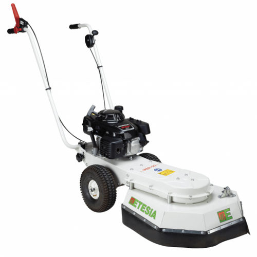 Thermo-Unkrautentferner - MBR50  - ETESIA - handgeführt / zwischen den Weinstöcken / Bürsten