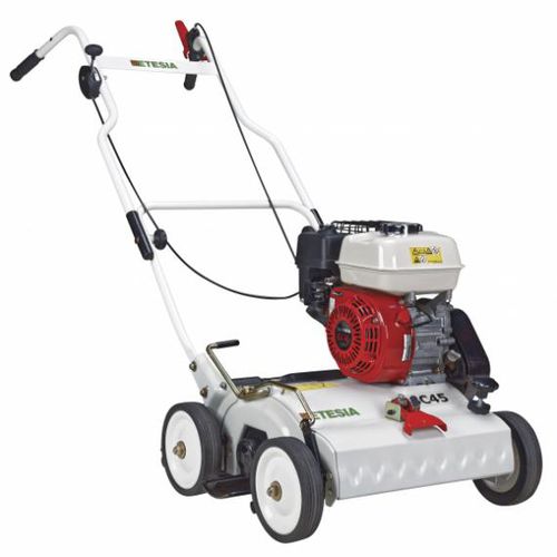 Handgeführter Vertikutierer - MSC45 - ETESIA - benzinbetrieben