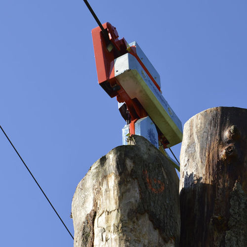 Laufwagen für Forstwirtschaft - Crg Series - GREIFENBERG TELEFERICHE Sas - für Seilzug-Förderanlage
