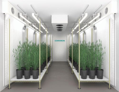 Wachstumskammer für Pflanzenwachstum - EVO series - CONVIRON - für Forschungszwecke