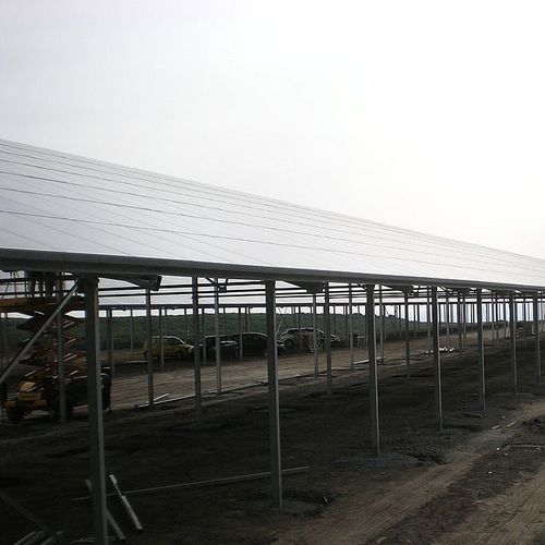 Stallung für Rinder - Artigianfer SRL