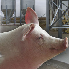 Temperatur-Datenlogger - Automated Production Systems - Wasserstand / batteriebetrieben / mit LCD-Display