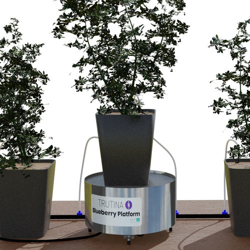 Überwachungssystem für die Landwirtschaft - Trutina Blueberry Professional Edition - Gremon Systems - für Anbau / zur Bewässerung / für Gewächshaus
