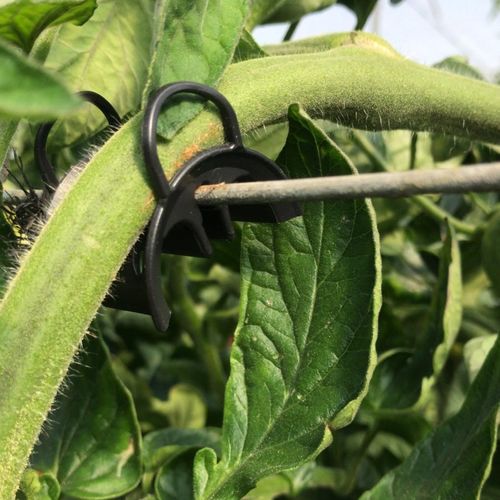 Kunststoff-Stützclip - Simonetti Adamo S.R.L. - mit Anbauteilen / für Tomaten / für Gurke