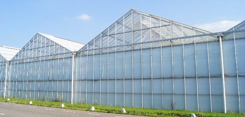 Mehrkuppeliges Gewächshaus - Zwirs Projects B.V. - dekorativ / Glas / mit Stahlstruktur