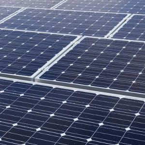 Dachplatte für Gewächshaus - Zwirs Projects B.V. - mit Solarmodul