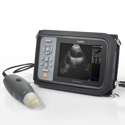 Tragbares Veterinär-Ultraschallgerät - Handscan V5 - Sunway Medical - für Großtiere