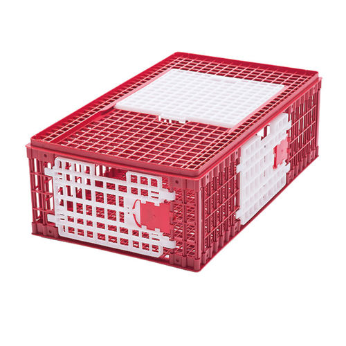 Transportkäfig für Hühner - B - ARION FASOLI SRL - Kunststoff