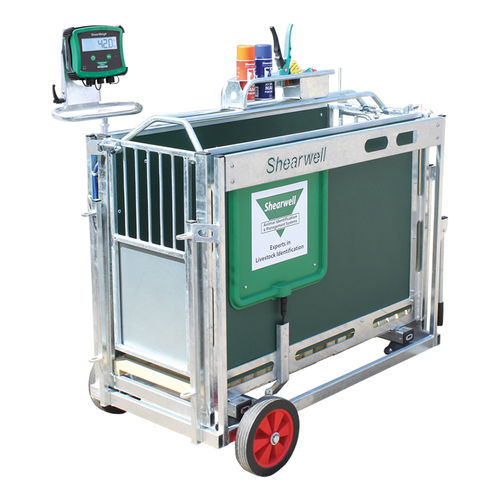 Wiegesystem für Schafe - SHEARWELL - Shearwell Data Ltd - digital / automatisch / tragbar