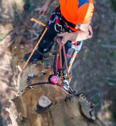 Kambiumschoner - Advanced Ropeclimbing Technology
