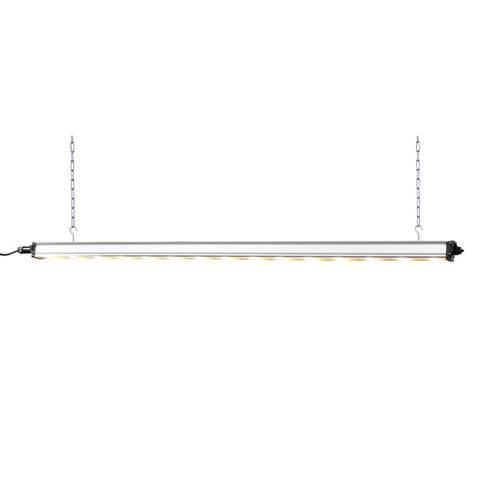 Gartenbau-Beleuchtung - HORTURION LED ML - BLV Licht- und Vakuumtechnik GmbH - LED / rot / flach