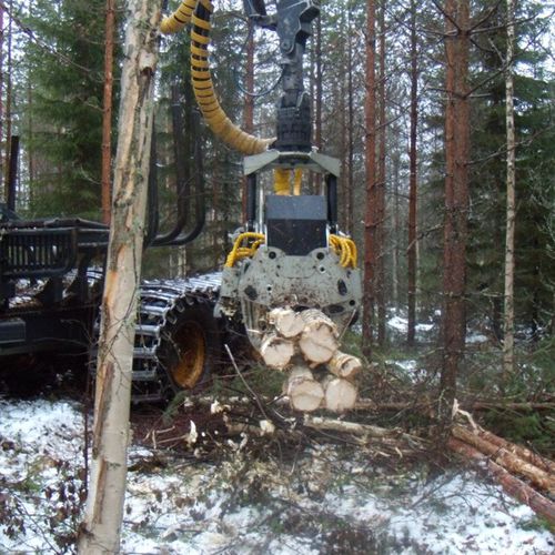 Harvester Aggregat / mit Beladung - 250 F1 - Moisio Forest Oy - mit Entaster