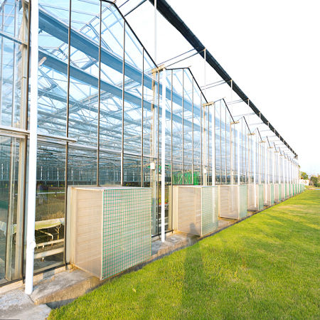 Venlo-Gewächshaus - Sunmax Greenhouse Technology Co., Ltd. - experimental / Glas