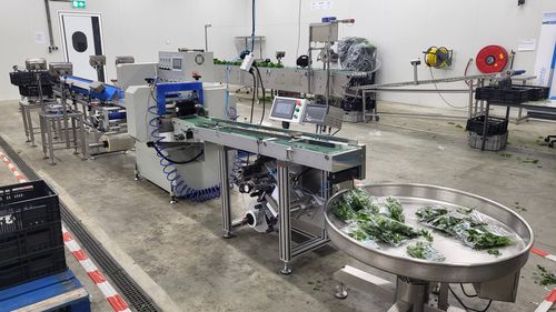 Absackmaschine für runde Produkte - VegPack FP-50M - Pack TTI  / Weber Cooling