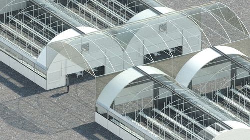 Mehrschiffiges Gewächshaus - Omega Houses - Osprey Tunnels Ltd - Kunststoff