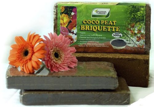 Kokostorfanzuchtsubstrat - BRIQUETTE - TRUMP COIR PRODUCTS (PVT) LTD. - Pressballen / kompakt