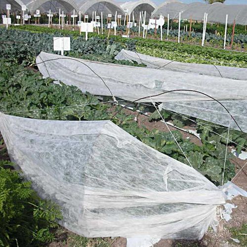 Schutznetz - Hsia Cheng Woven Textile Co., Ltd - gewirkt / Vlies