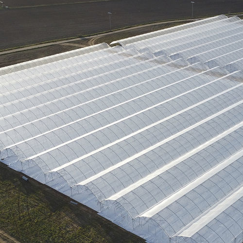 Tunnel-Gewächshaus - J. Huete Greenhouses