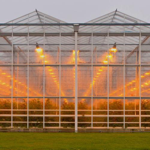 Glasgewächshaus - J. Huete Greenhouses