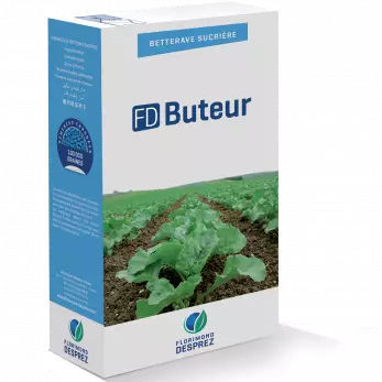 Zuckerrübensaat - FD Buteur - Florimond Desprez - Rizomania-resistent / Nematoden-resistent