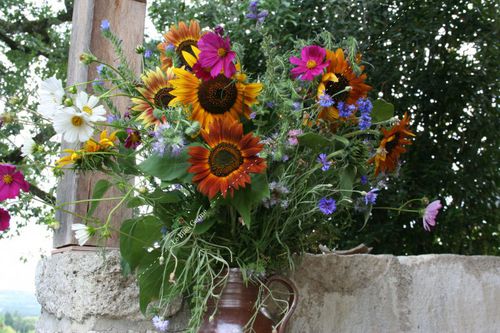 Blumensaat / einjährige Pflanze - FMM201 - Le Biau Germe - Farbmischung / für Garten / biologisch