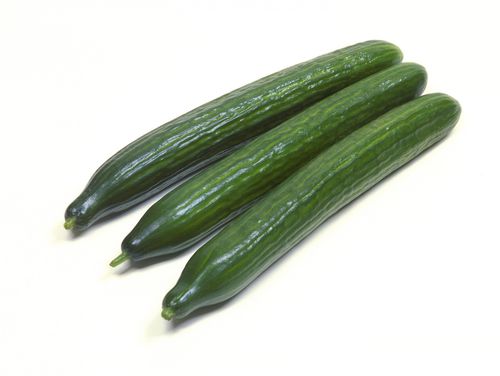 Mosaibeständige Gurkensaat - Verdon F1 - Atypyc - hybrid / grün