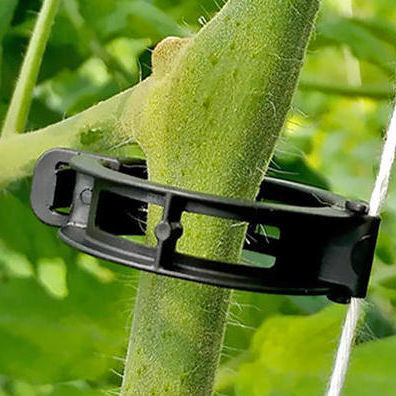 Kunststoff-Stützclip - Easy - PRECIMET H.C.E. - mit Anbauteilen / für Tomaten