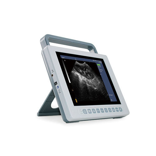 Tragbares Veterinär-Ultraschallgerät - K10 - Xuzhou Kaixin Electronic Instrument Co., Ltd - für Schafe / für Schweine / für Hunde