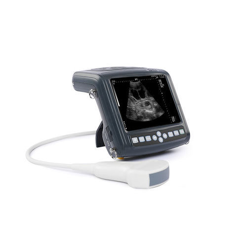Veterinär-Ultraschallgerät / Handgerät - KX5200 - Xuzhou Kaixin Electronic Instrument Co., Ltd - für Rinder / für Pferde / für Schafe