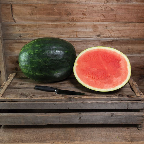 Frühe Wassermelonensaat - Cracker Jack - johnnyseeds - einjährige Pflanze / hybrid