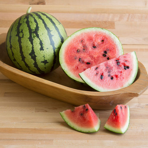 Wassermelonensaat / einjährige Pflanze - Starlight - johnnyseeds - hybrid / rot / grün
