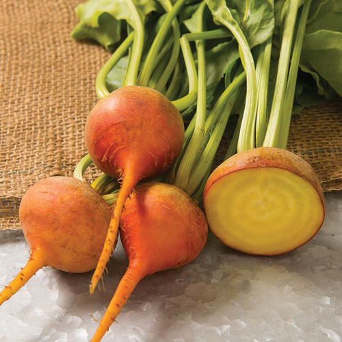 Verzehr-Rübensaat - Boldor - johnnyseeds - biologisch