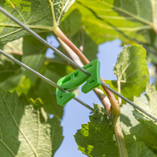Biologisch abbaubarer Bügelbolzen - SGRCIAB - LaCruz S.r.l. - für Weinbau
