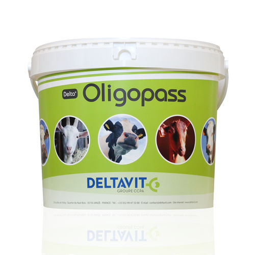 Nahrungsergänzungsmittel für Tiere - Delta® OLIGOPASS® - deltavit - für Mutterkühe / für Ziegen / Mineral