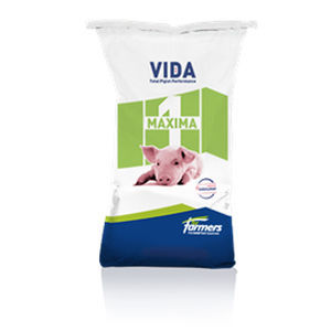 Nahrungsergänzungsmittel für Tiere - Maxima 1 Starter - forfarmers - für Schweine / Stärke / trocken
