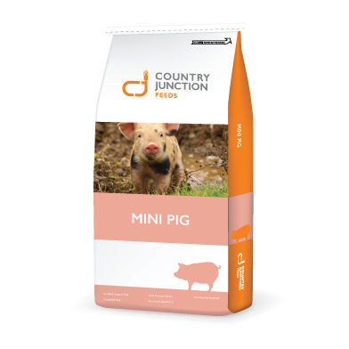 Nahrungsergänzungsmittel für Tiere - M800900B - countryjunctionfeeds - für Schweine / Mineral / Vitamin