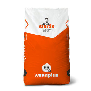 Wachstumsaktivator Futterzusatz - Weanplus - startix - für Schweine / flüssig