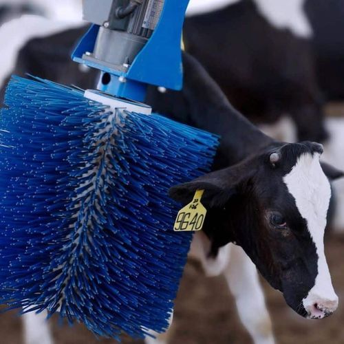 Bürste für Zuchtzwecke - agromaster - rotierend / für Kühe / vertikal