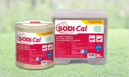 Leckstein für Rinder - SodiCal - salins-agri - Spurenelemente / Magnesium / phosphoreszierend