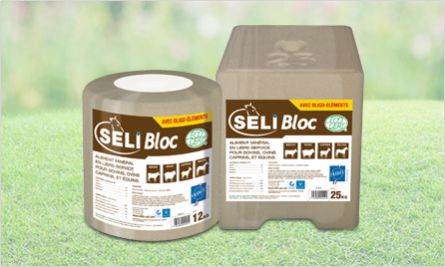 Leckstein für Rinder - SeliBloc - salins-agri - für Ziegen / für Schafe / für Pferde