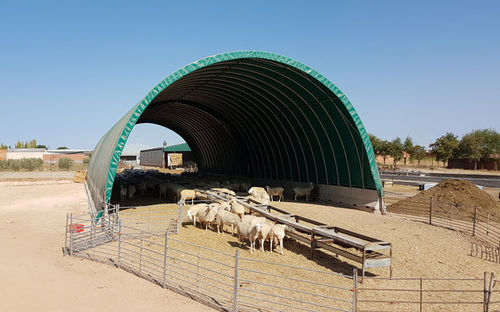 Geflügelzucht-Zuchttunnel - ASTHOR Stockage-Elevage - für Rinder / mit Stahlstruktur / gedämmt