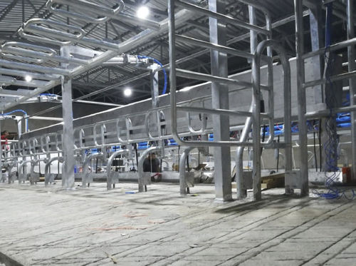 Melkstand für Kühe - Intermilk - parallel / schneller Ausgang