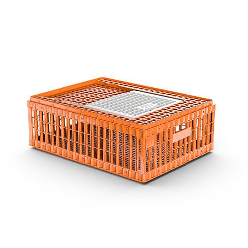 Transportkorb für Hühner - 0102001.01 - Giordano Global - Kunststoff