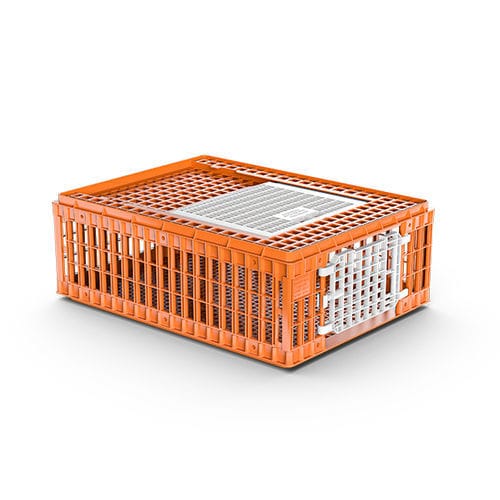 Transportkorb für Hühner - 0102002.01 - Giordano Global - Kunststoff