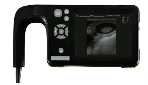 Tragbares Veterinär-Ultraschallgerät - S5 - Selcuklu Veteriner Hayvancilik Ltd. Sti - für Schafe / für Hunde / linear