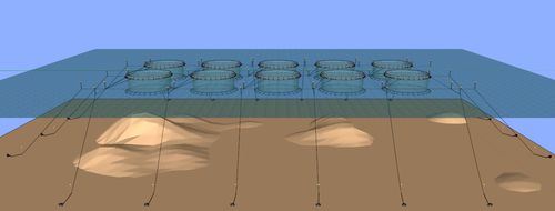 Verankerungssystem für Aquakultur - Toford - mit Ankern / Mit Bojen