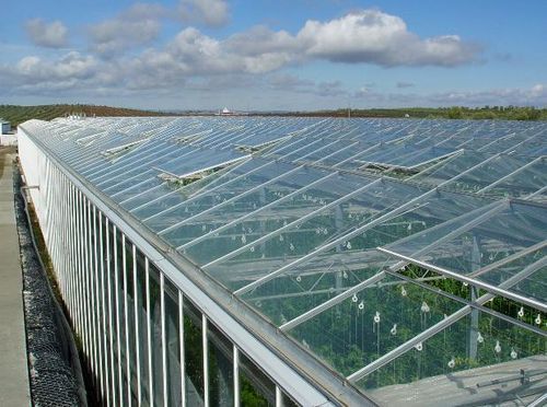Venlo-Gewächshaus - Venlo - Invernaderos FERTRI - Glas