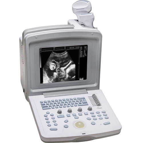 Tragbares Veterinär-Ultraschallgerät - WED-180V - Shenzhen Well.D Medical Electronics - für Kleintiere / für Großtiere / Schwarz-Weiß